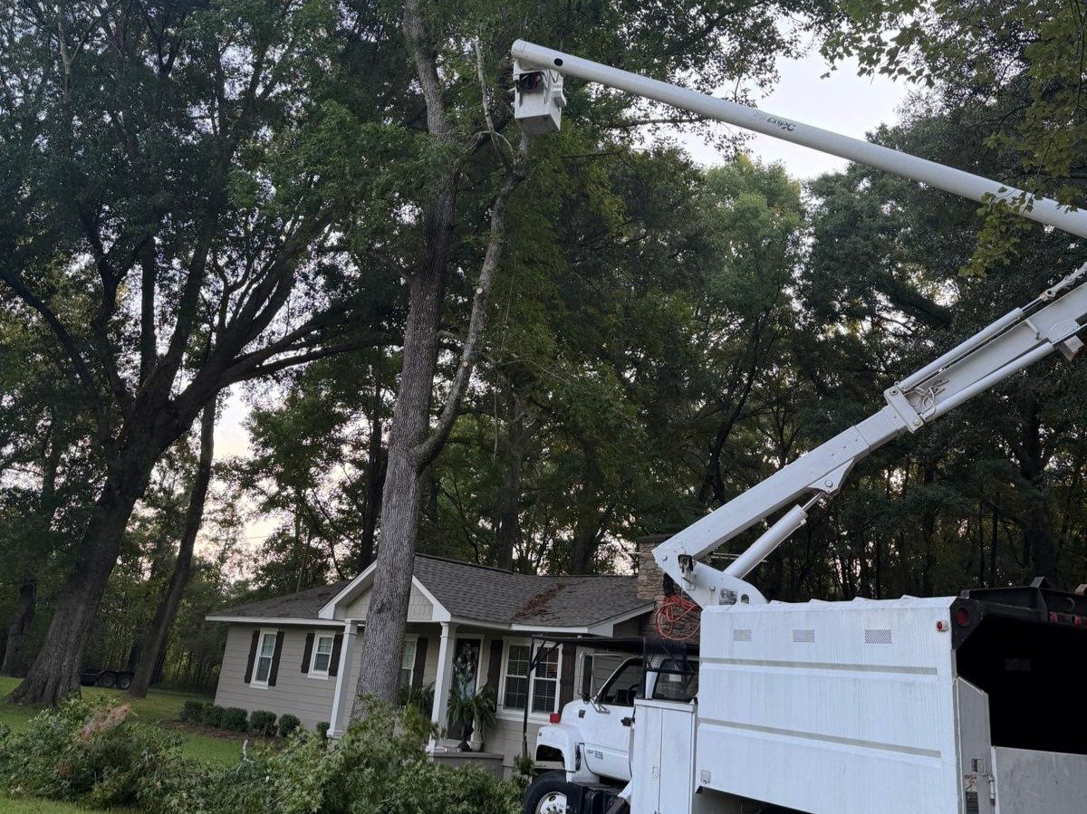 El Costeño Tree Service LLC